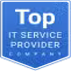 top it service provider