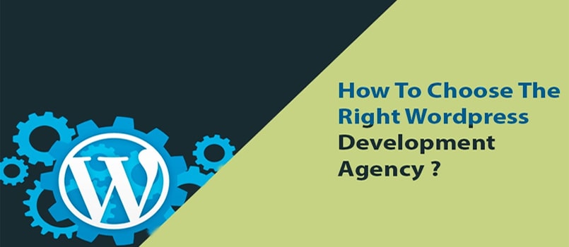 choose the right wordpress development agency