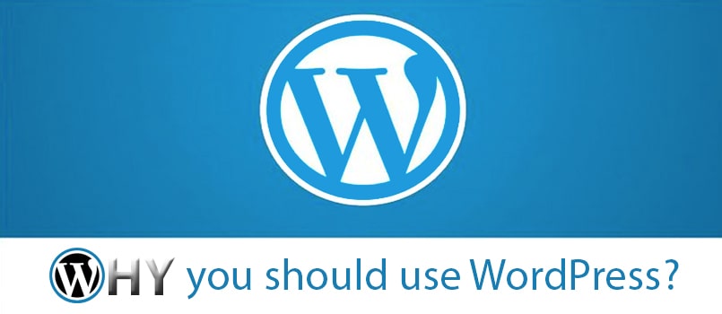 why use wordpress for your website